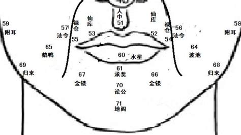 鼻毛太长面相|麦玲玲面相讲座之 鼻子 – 人相学